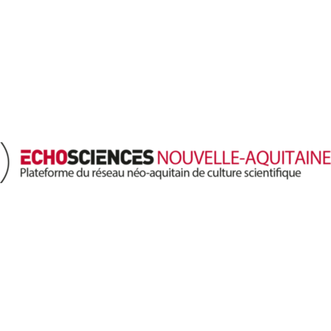Article Création 